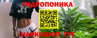 СК Камышлов