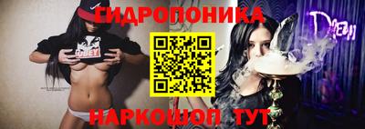 СК Камышлов